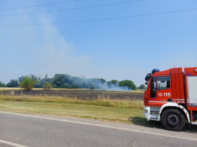Vasto incendio di centinaia di metri: a fuoco il campo lungo la Provinciale