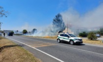 Incendio in un campo a ridosso delle case, intervengono i Vigili del fuoco