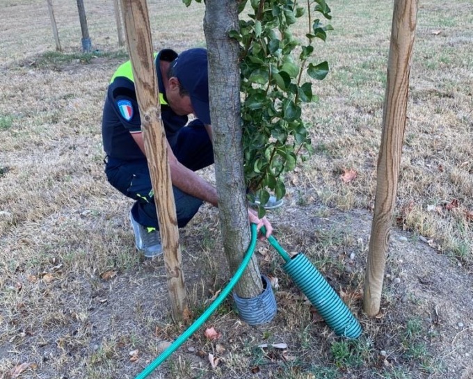 Non piove da troppo tempo, il Comune corre in soccorso di 400 alberi in sofferenza