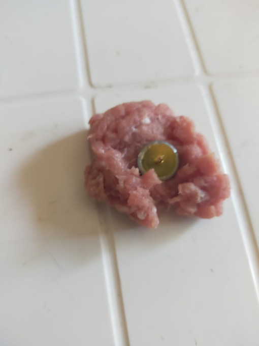 Polpette ed esche avvelenate, cresce la preoccupazione