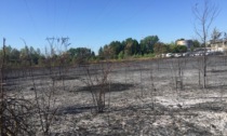 Inferno di fuoco a Cologno Monzese: ecco come è ridotto il terreno distrutto dalle fiamme