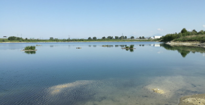 L’Oasi del Wwf non è una spiaggia, il Comune interviene