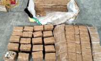 Mezza tonnellata di droga nel capannone: arrestato autotrasportatore