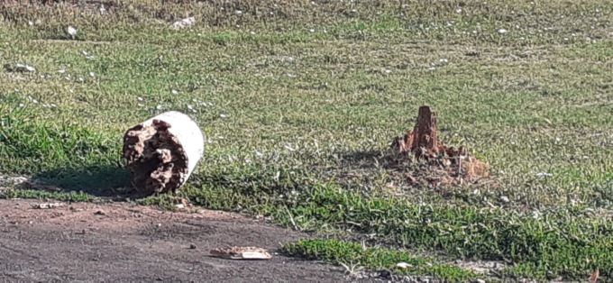 vandali parco rodano