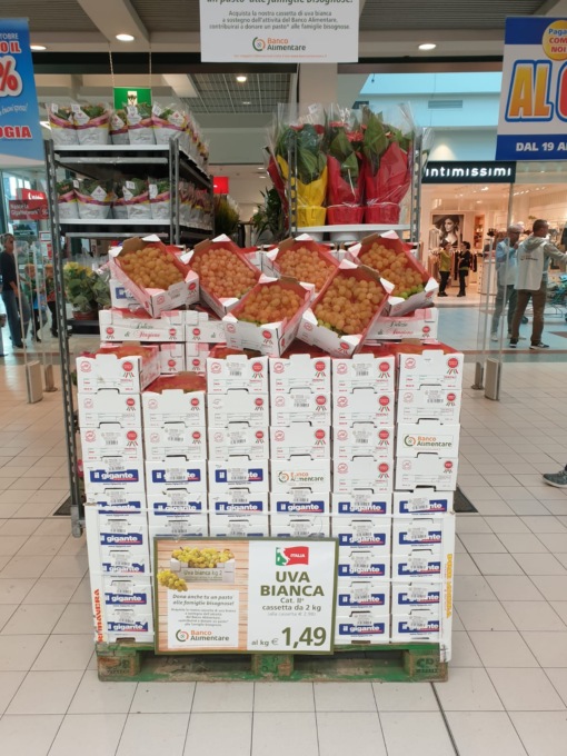 Un aiuto concreto al Banco Alimentare