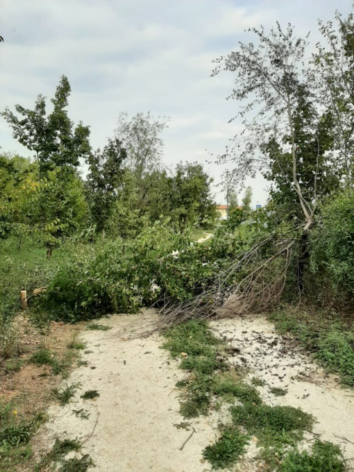 trezzo sull'adda vandali all'oasi la fornace tagliano piante e bloccano il sentiero