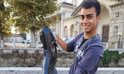 Catturato un pesce siluro che nuotava davanti alla chiesa