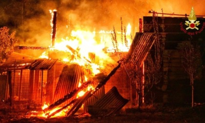 Incendio in un capanno: animali in salvo grazie ai Vigili del Fuoco