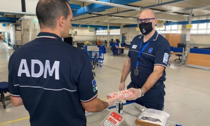 Pacchi di tabacco illegale contrabbandati in Italia