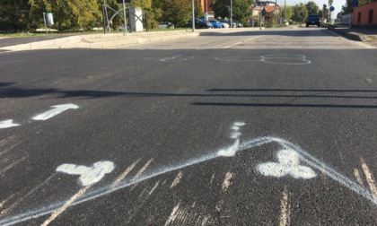 Rubano i segnali e disegnano dei peni sull'asfalto