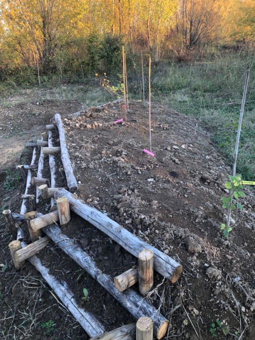 trezzo sull'adda oasi la fornace bambini piantano alberi per api e insetti impollinatori