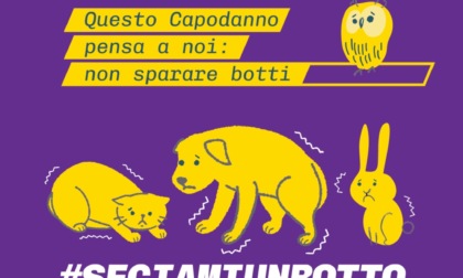 Cernusco sul Naviglio lancia una campagna di sensibilizzazione contro l’utilizzo indiscriminato di fuochi d’artificio