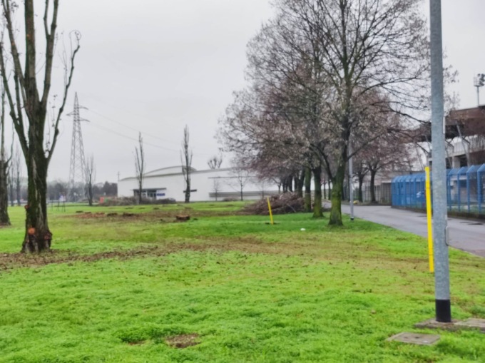 Piante tagliate a Pioltello e Rugacesio: è allarme funghi e parassiti
