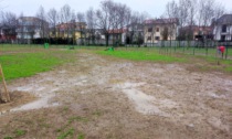 La nuova area cani di Carugate... fa acqua: quando piove diventa un pantano