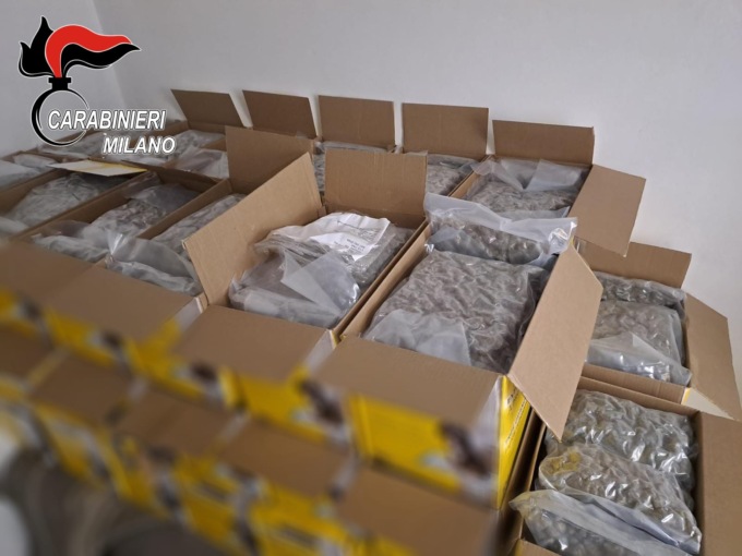I dipendenti sentono uno strano odore: Carabinieri scoprono oltre cento chili di marijuana