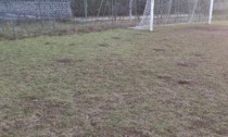 Il campo da calcio a sette a Melzo è disseminato di buche scavate... dai conigli