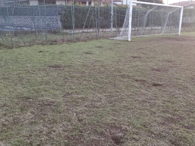 Il campo da calcio a sette a Melzo è disseminato di buche scavate… dai conigli