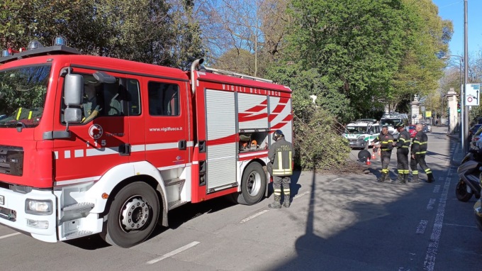 Albero cade sulla strada a Cernusco sul Naviglio, chiusa temporaneamente la circolazione