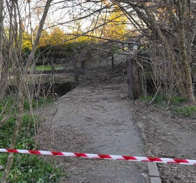 Crolla un albero tra Brugherio e Cologno Monzese, danneggiato un capannone: zona transennata