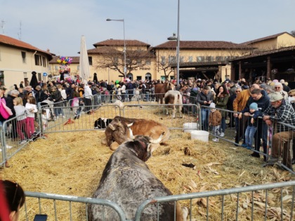 Metagames Cernusco Sul Naviglio Events