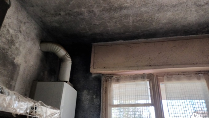 Respirano e mangiano muffa nella casa Aler: “Aiutateci”