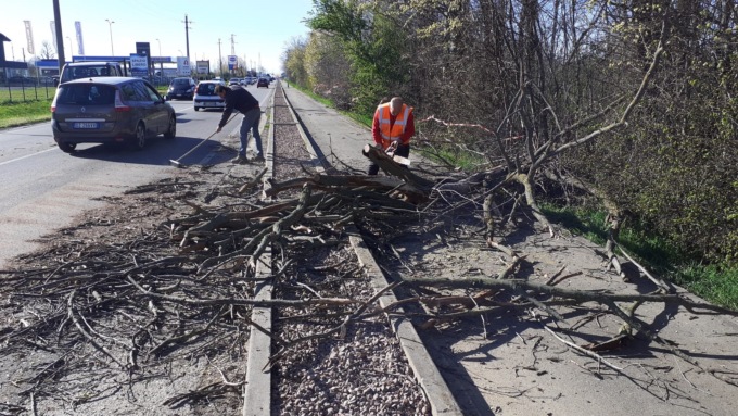 Vento forte: alberi caduti sulla Provinciale, colpita un’auto a Trezzo