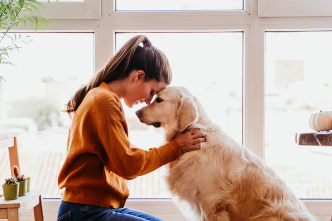 L’importanza della relazione con gli animali