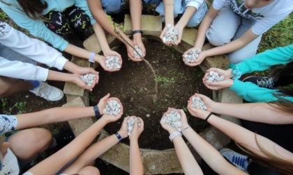 Gorgonzola, un albero a scuola per commemorare le vittime della strage di Capaci