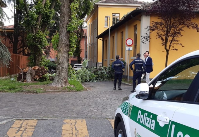 Un albero crolla sul tetto della palestra della scuola di Pioltello