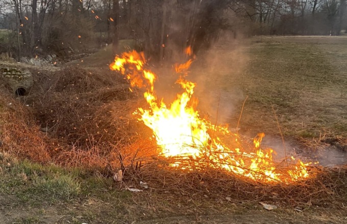 Piromane dà fuoco al canneto di Pozzo d’Adda, indagini in corso