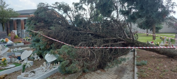 Albero crolla sul cimitero dei bambini a Pioltello: una lapide frantumata