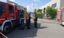 Esplode un'autoclave nel capannone, Vigili del fuoco in azione a Canonica d'Adda
