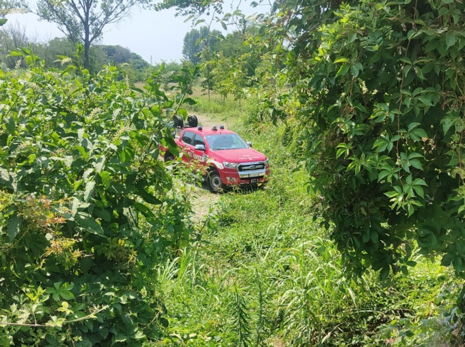 Anziano cade a Pessano con Bornago in riva al torrente Molgora, arrivano i Vigili del Fuoco