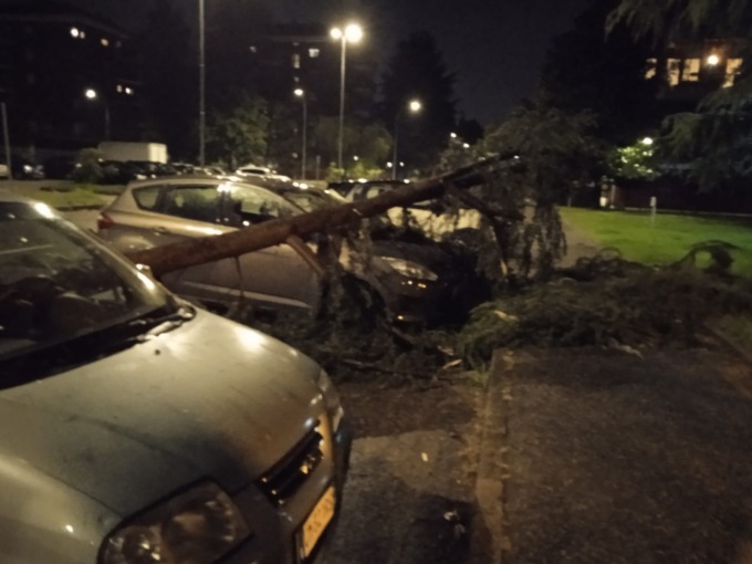 Tromba d’aria in Martesana, crollati alberi e rami. Protezione civile e Vigili del Fuoco al lavoro