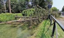 Il maltempo a Cernusco ha fatto danni: abbattute oltre 400 piante