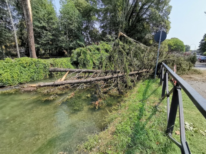 Il maltempo a Cernusco ha fatto danni: abbattute oltre 400 piante