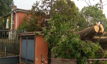Solo a Cernusco sul Naviglio sono stati quasi duecento gli alberi abbattuti dal maltempo