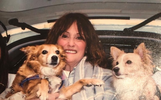 Addio a Laura Rossi: colonna dell’animalismo e del canile di Segrate