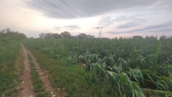 A Milano, Lodi e Monza consumati 340 ettari di terra in un anno