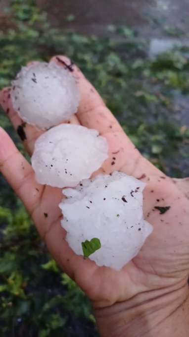 Emergenza maltempo, ristori per l’agricoltura. “Chiesti anche per chi non è assicurato”