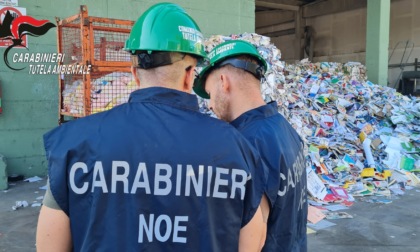 Gestione illecita di rifiuti pericolosi, sequestrate a Cologno Monzese 13,5 tonnellate di insetticida
