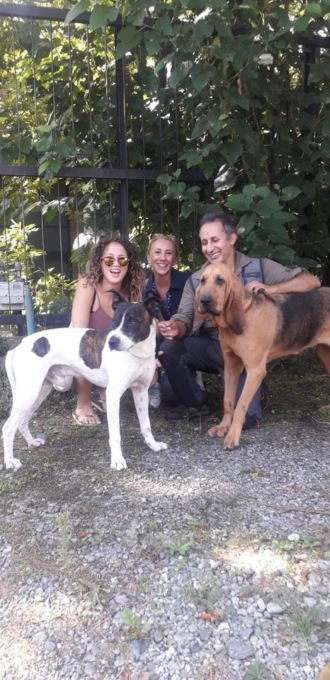Scappa dopo un incidente in tangenziale e viene investito quattro volte, “Aldo” ritrovato vivo