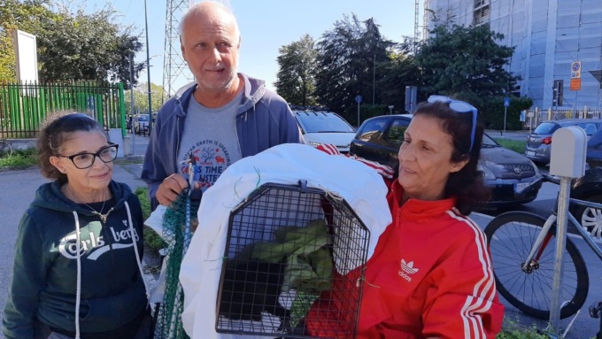 Salvataggio rocambolesco a Cologno: 13 ore per recuperare un gattino intrappolato nel motore di un’auto