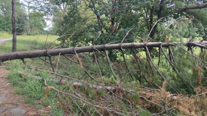 Il Parco Increa di Brugherio riapre (in parte) per far tornare a lavorare il bar