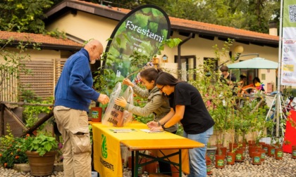 Riconsegnate le piante curate dai cittadini: solo il 12% non ce l'ha fatta