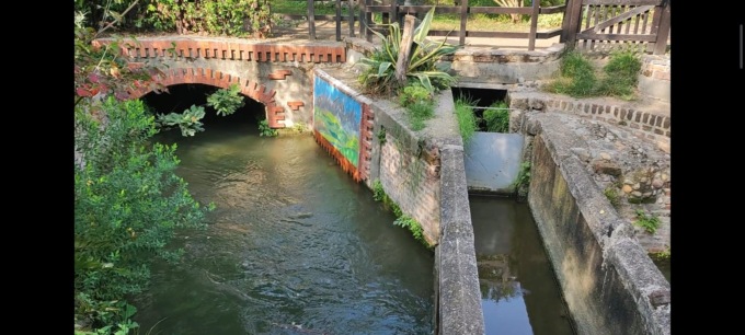 Missione compiuta per Emilio: il Tombone di Limito è finito, un angolo di Paradiso a Pioltello VIDEO