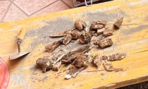 Durante gli scavi in cantiere dalla terra emergono delle ossa: intervengono Carabinieri e medici legali