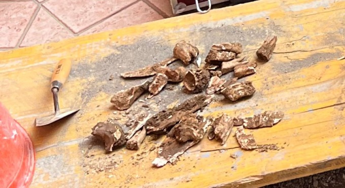 Durante gli scavi in cantiere dalla terra emergono delle ossa: intervengono Carabinieri e medici legali