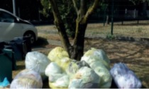 Brembate, giro di vite sui rifiuti: chi non ritira il bidone per l'indifferenziato potrà essere multato