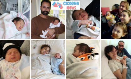 Otto cuccioli al Santa Maria delle Stelle: i nuovi nati della settimana